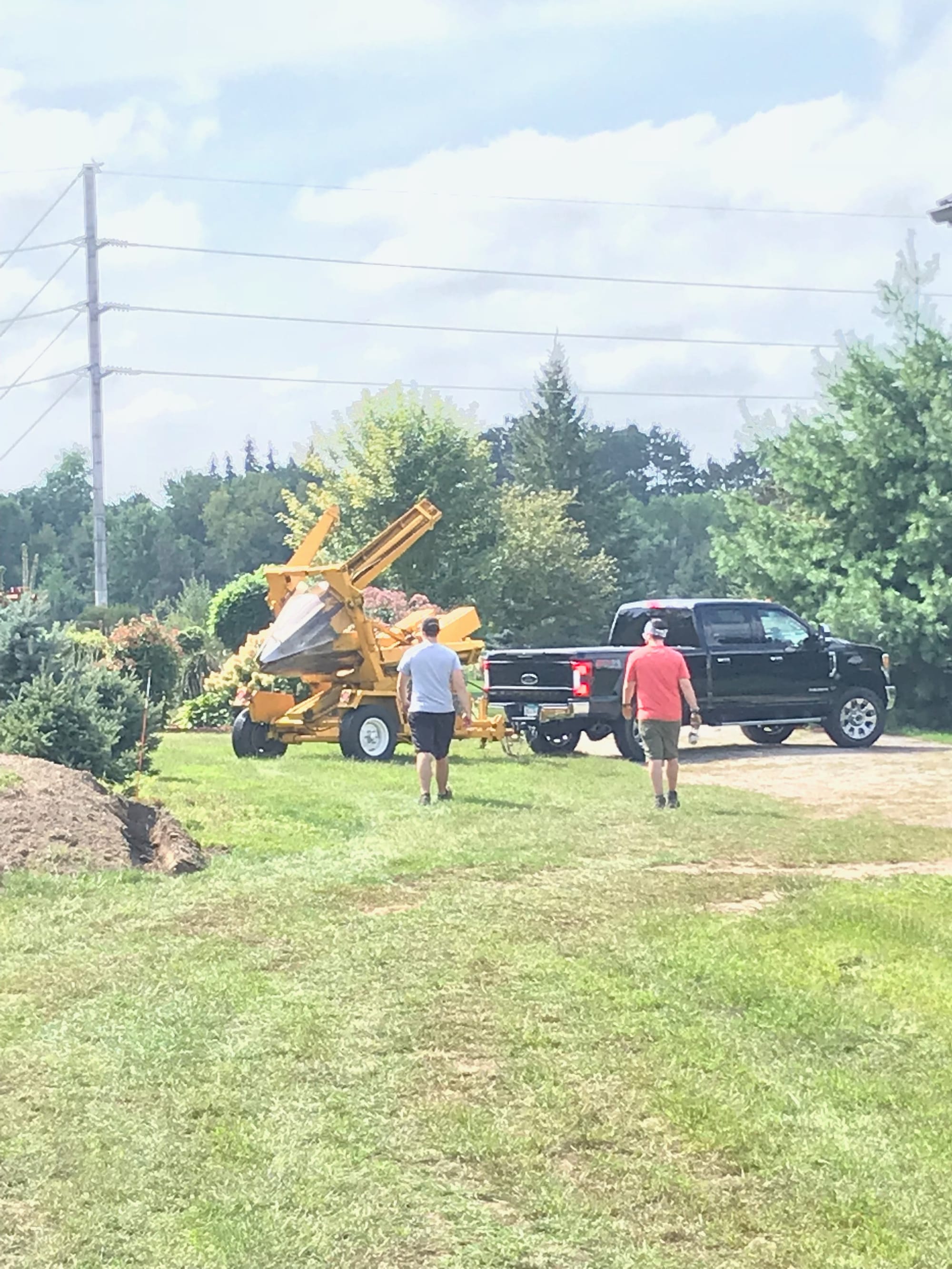 Tree Replanting